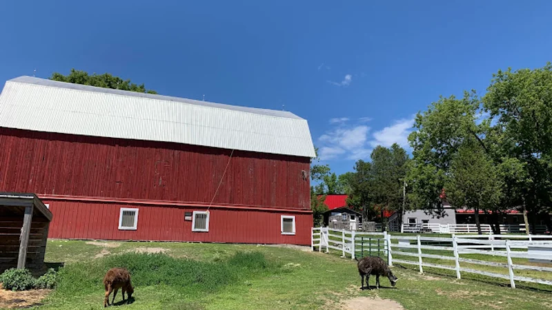 Captiva Ranch Horseback Riding — Wakefield, Montérégie