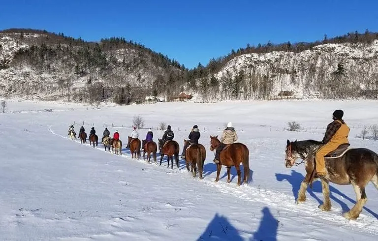 Captiva Ranch Horseback Riding — Wakefield (1)