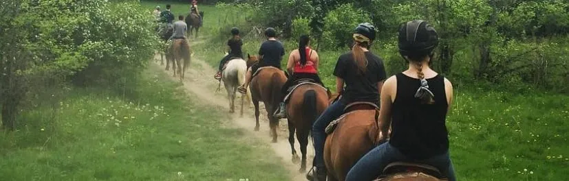 Captiva Ranch Horseback Riding — Wakefield (4)