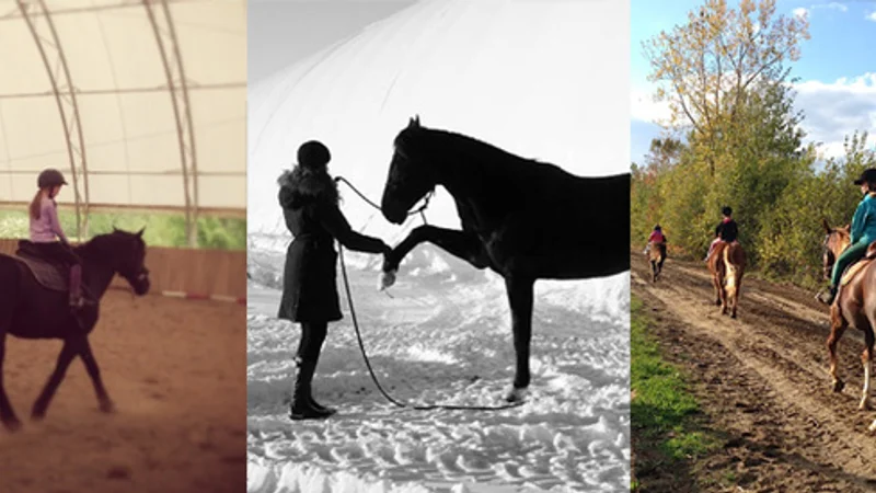 Centre Équestre Univers Cheval — L'Épiphanie, Lanaudière