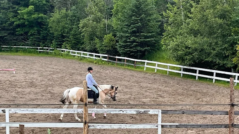 Dressage des Roses, Centre équestre des Laurentides — Morin-Heights, Laurentides