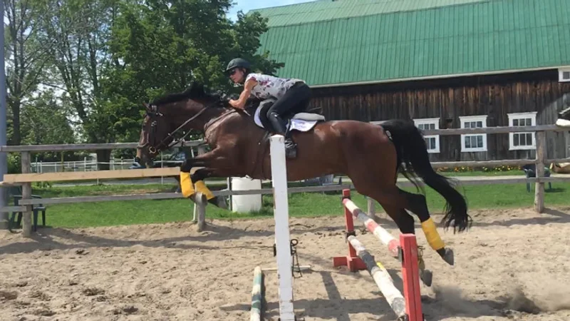 École d'équitation Epona Tannila — Saint-Marc-sur-Richelieu, Montérégie