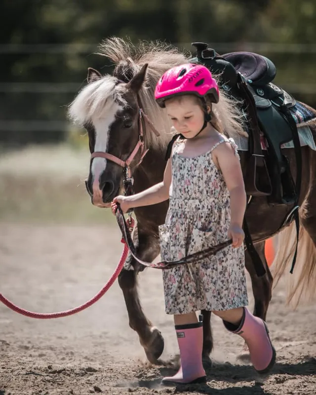 École d'équitation La Crinière d'Or — Saint-Luc-de-Vincennes (4)