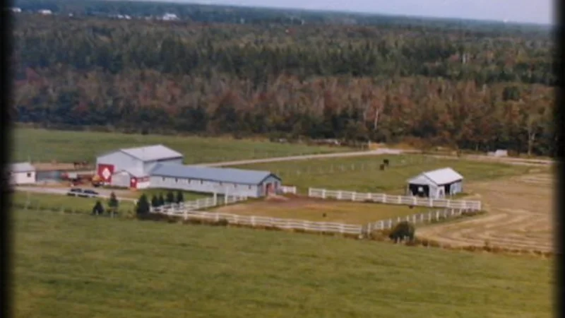 Écurie Mavie — Saint-Agapit, Chaudière-Appalaches