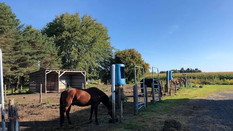 Equestrian Center Bonneau — Saint-Cyrille-de-Wendover, Centre-du-Québec