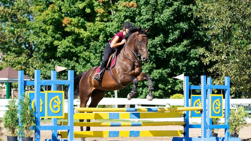Equestrian Center Drummond S.e.n.c. — Saint-Cyrille-de-Wendover, Centre-du-Québec