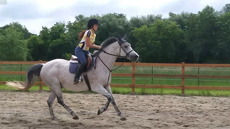 Ferme Willowbrook Farm (École d'équitation classique) — Mirabel, Laurentides
