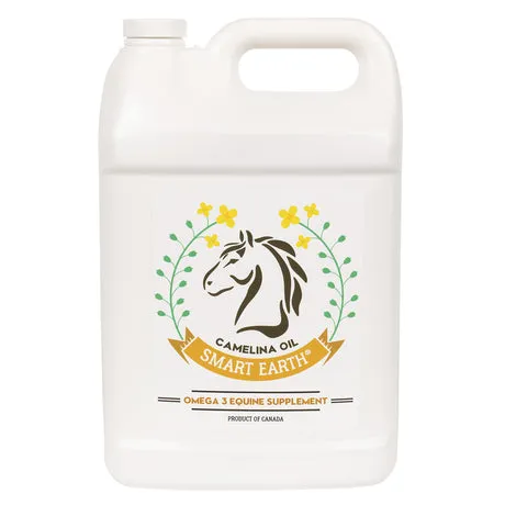 Greenhawk Equestrian Sport - Charlottetown — Charlottetown (1)