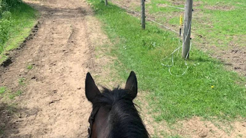 Greystone Equine — Rigaud, Montérégie