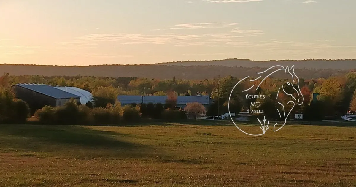 MD Stables — Vaudreuil-Dorion (1)