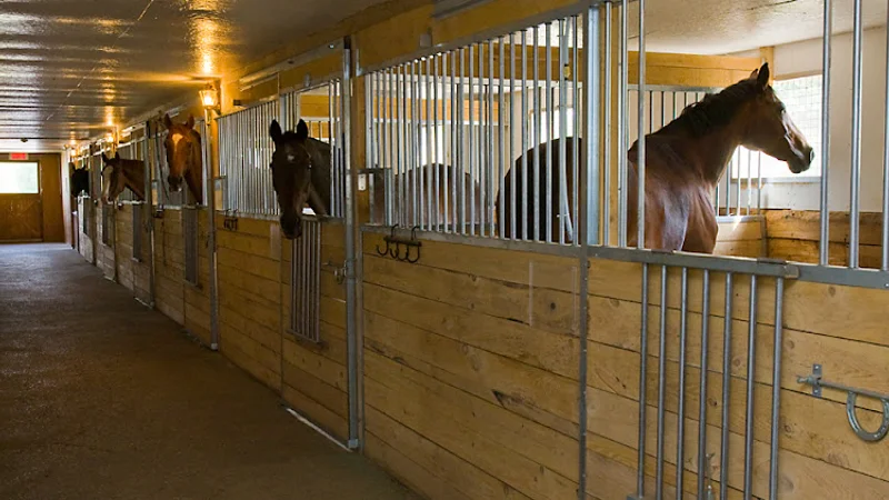 Saint-François Stables — Laval, Laval